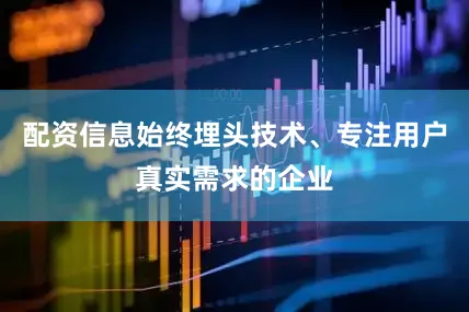 配资信息始终埋头技术、专注用户真实需求的企业