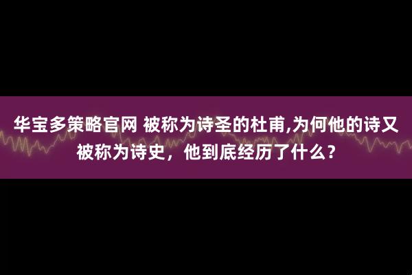 华宝多策略官网 被称为诗圣的杜甫,为何他的诗又被称为诗史，他到底经历了什么？