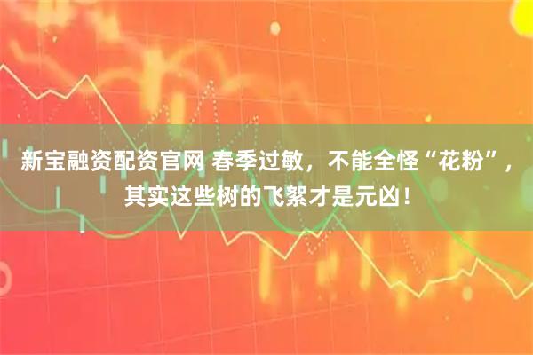 新宝融资配资官网 春季过敏,不能全怪“花粉”,其实这些树的飞絮才是元凶!