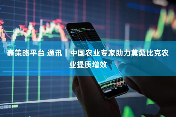 鑫策略平台 通讯｜中国农业专家助力莫桑比克农业提质增效